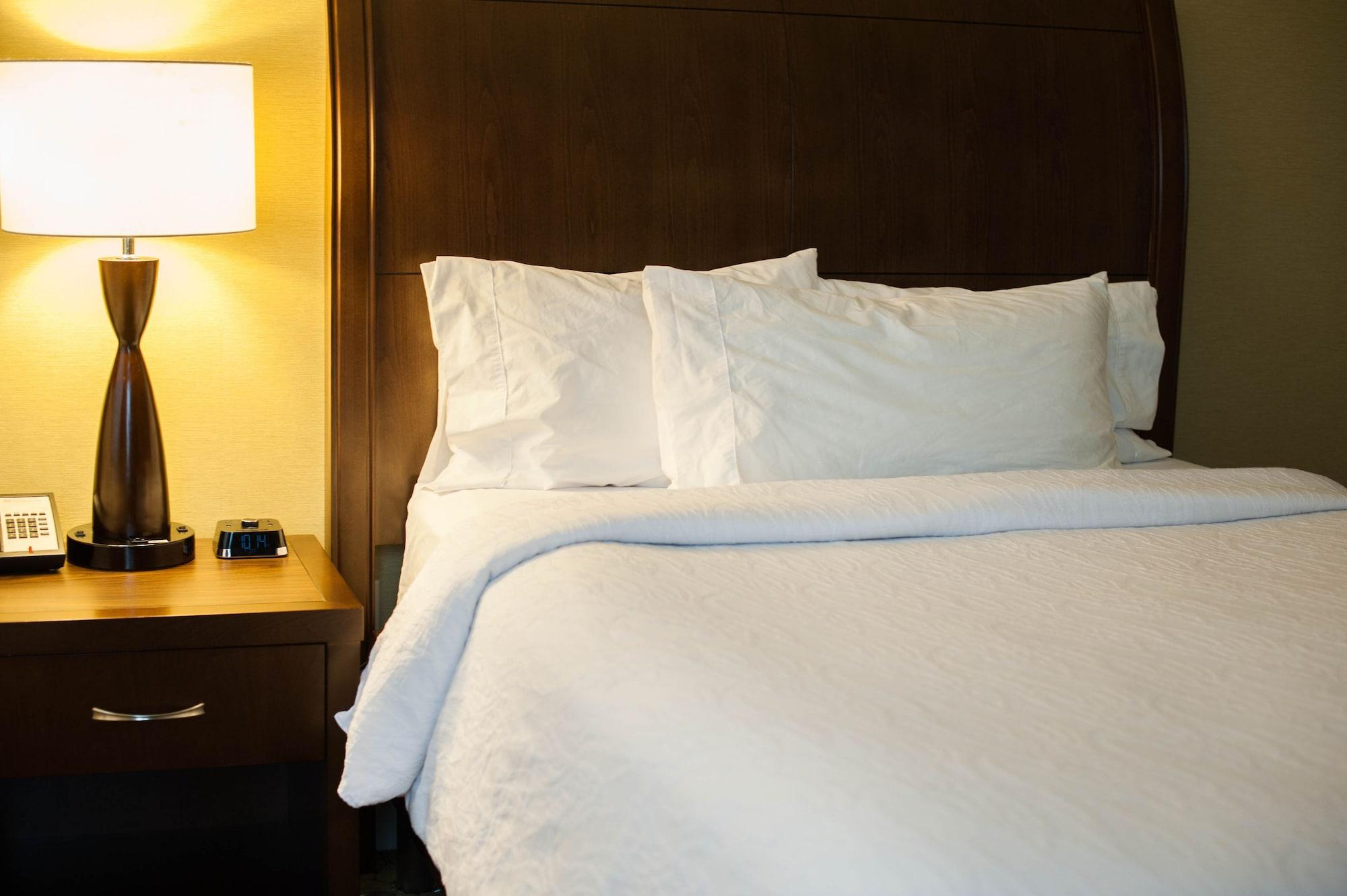 The Hilton Garden Inn Buffalo-Downtown Eksteriør bilde